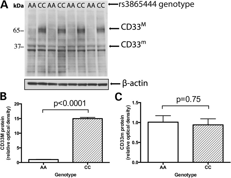 Figure 4.