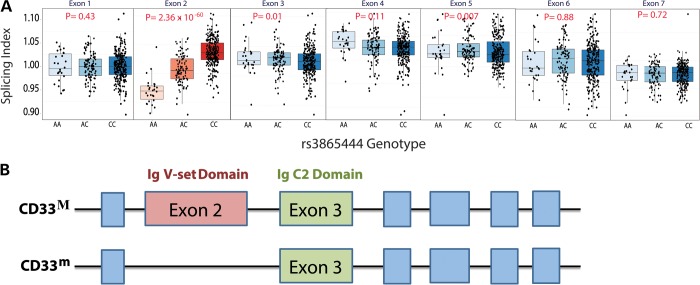 Figure 2.