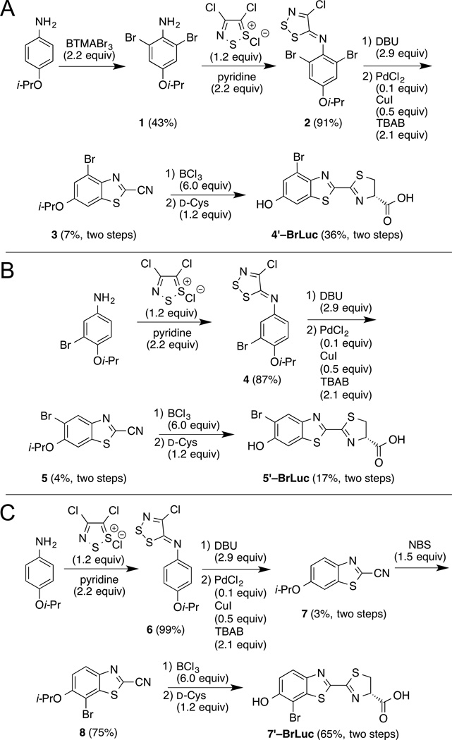 Scheme 1