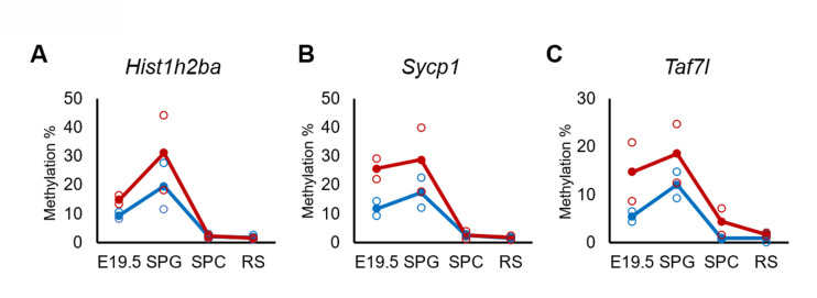 Figure 5.