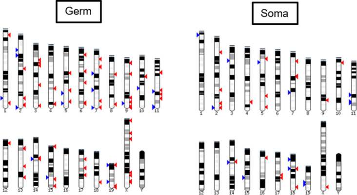 Figure 3—figure supplement 1.