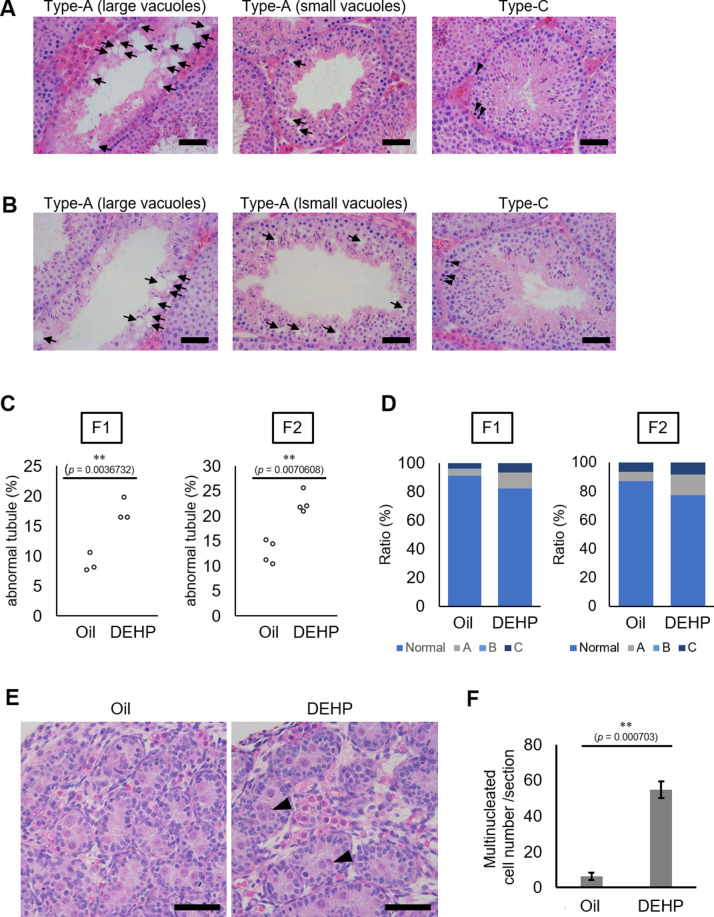 Figure 1—figure supplement 1.