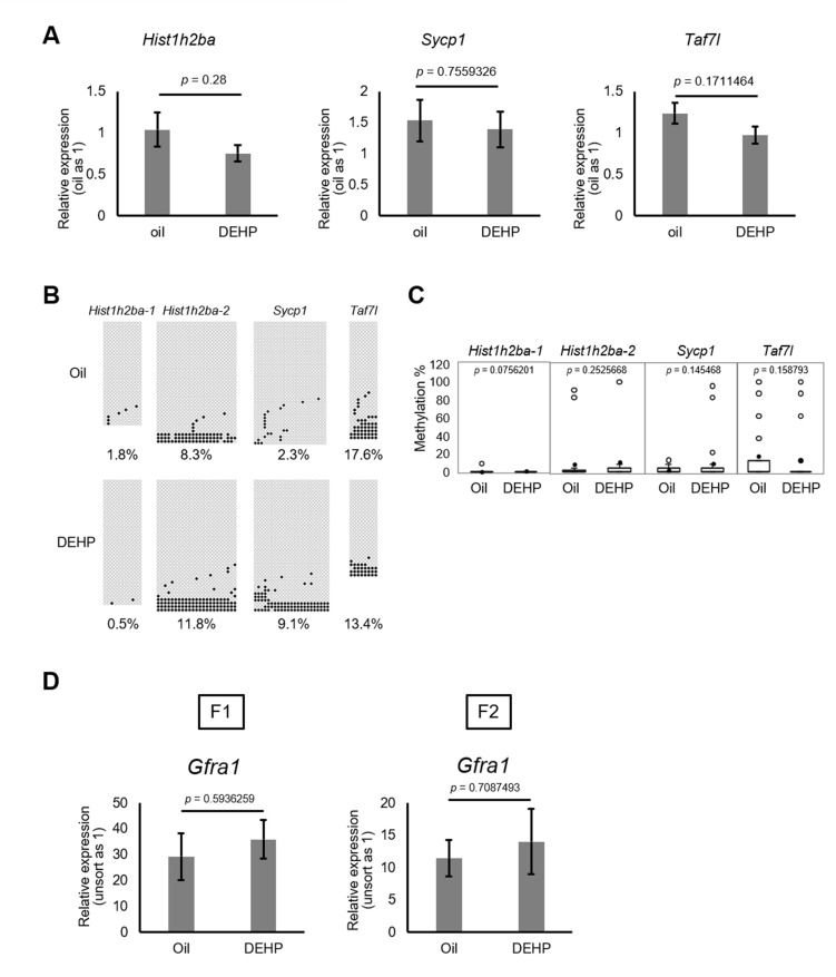 Figure 4—figure supplement 2.