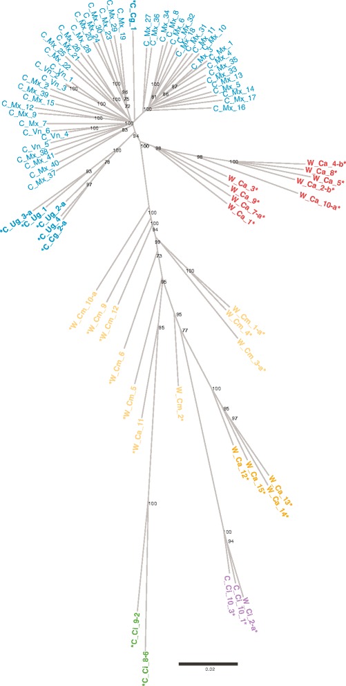 Fig. 4