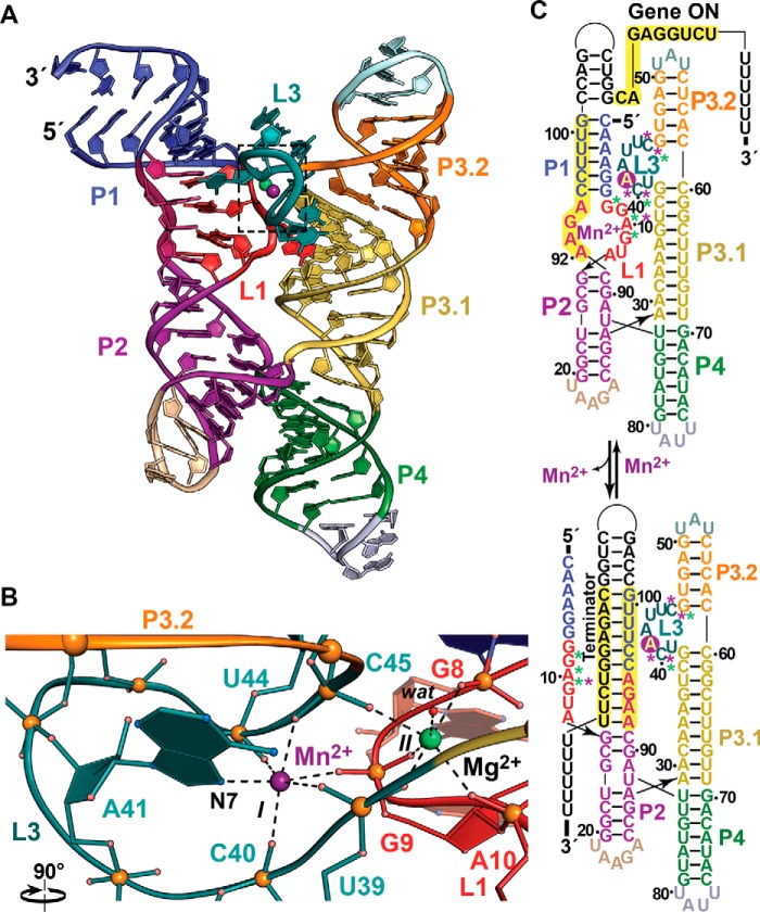 Figure 2.