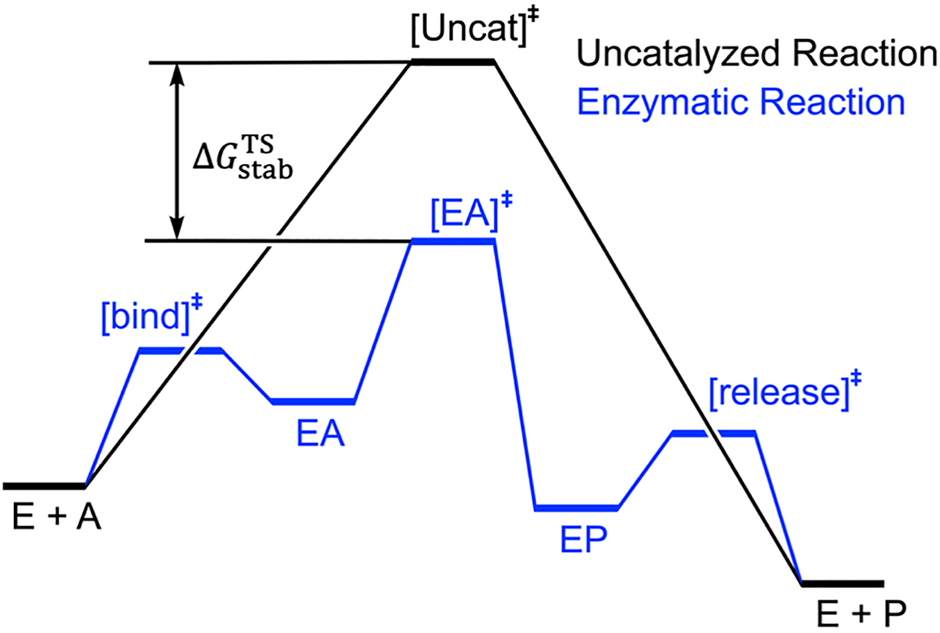 Scheme 1.