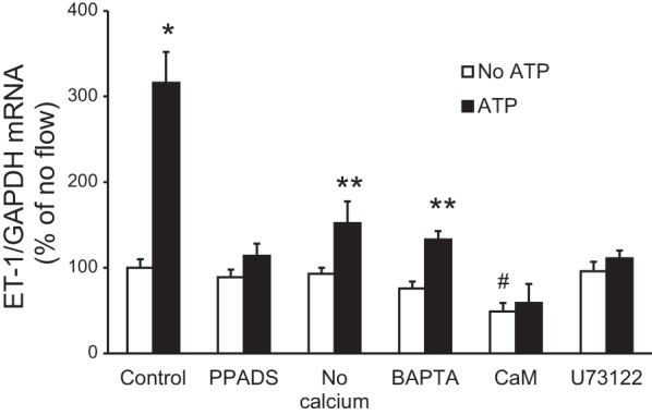 Fig. 13.