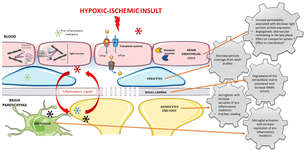 Figure 1: