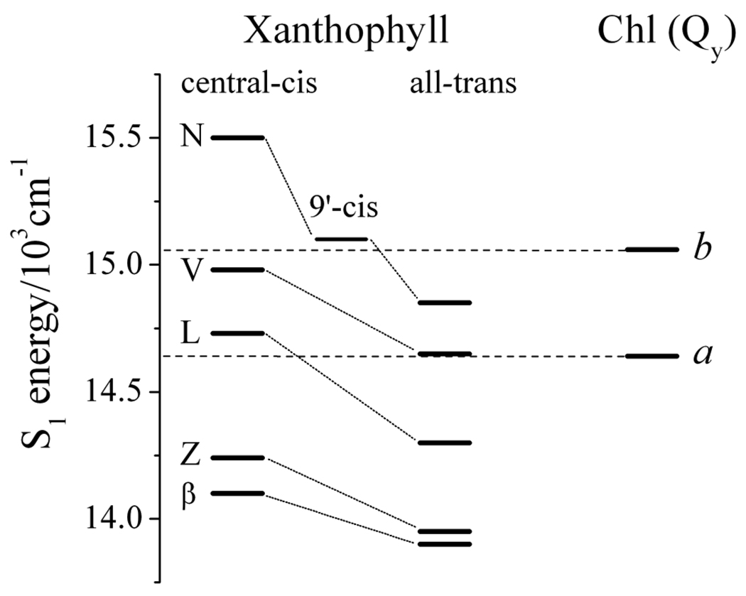 Fig. 10