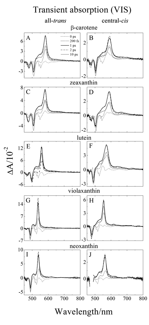 Fig. 4