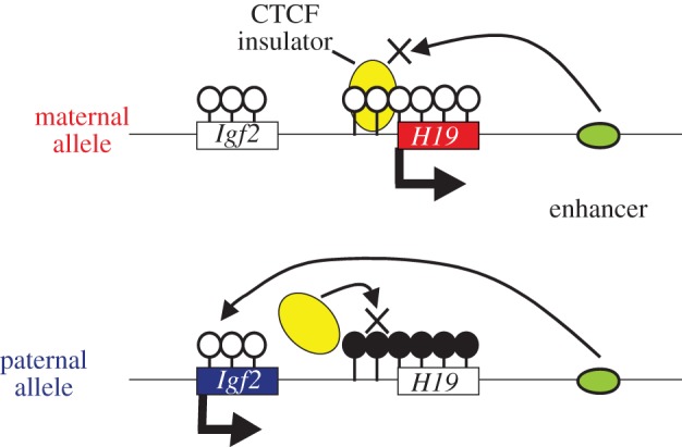 Figure 2.