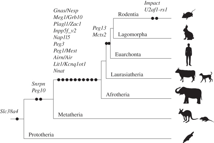 Figure 4.