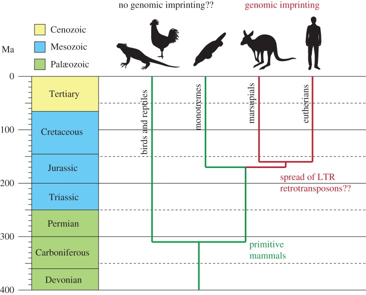 Figure 1.