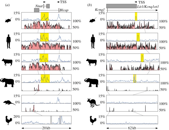 Figure 3.