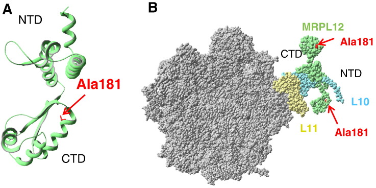 Fig. 3