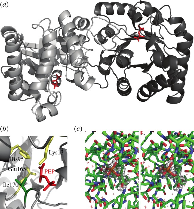 Figure 1.