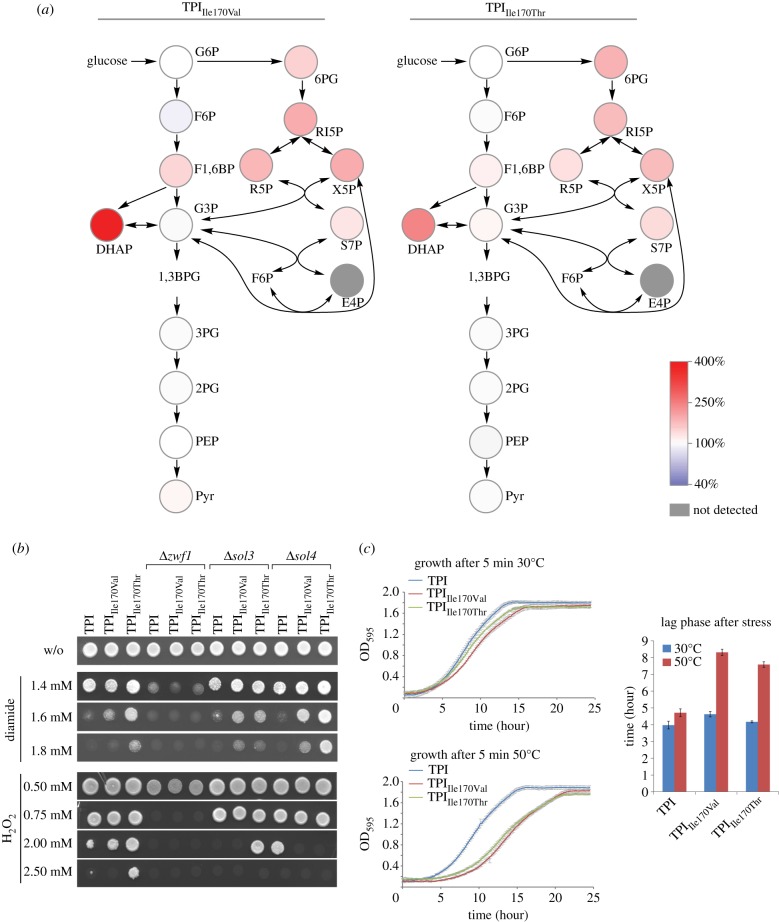 Figure 6.