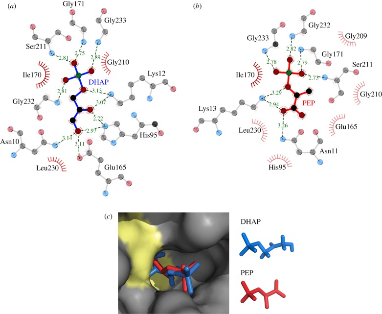 Figure 2.