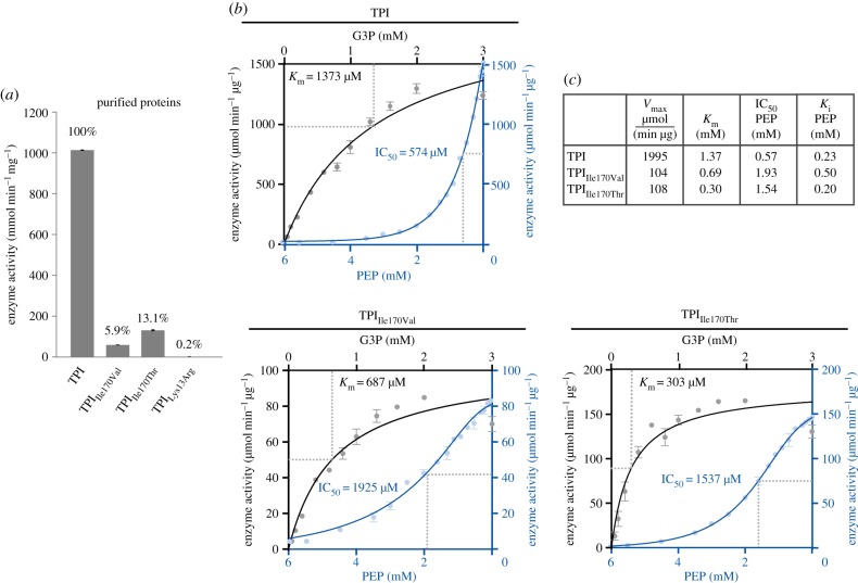 Figure 4.