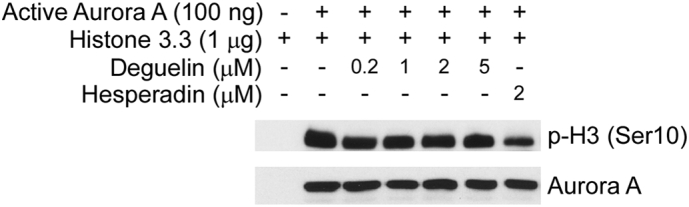 Supplementary Fig. 4