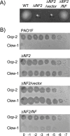 Figure 1—figure supplement 2.