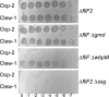 Figure 1—figure supplement 3.
