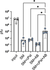 Figure 4—figure supplement 1.