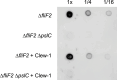 Figure 4—figure supplement 2.