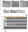 Figure 1—figure supplement 1.