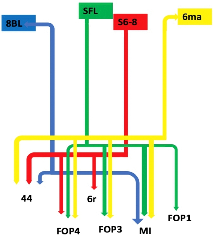 FIGURE 1.