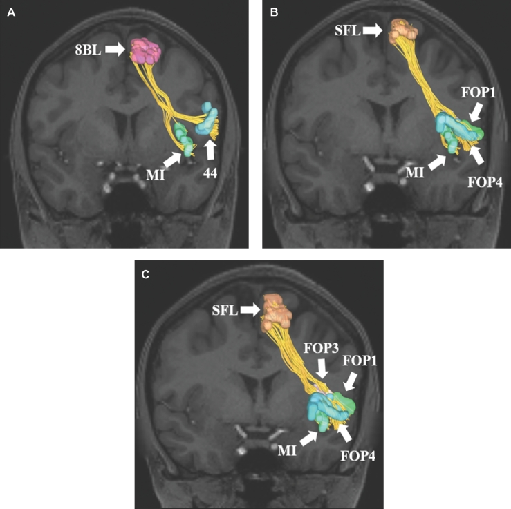 FIGURE 2.