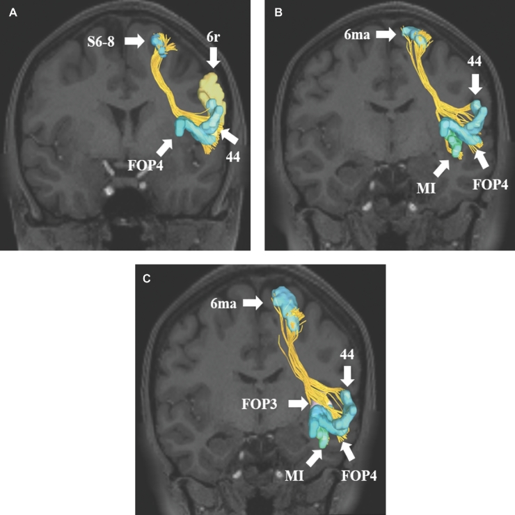 FIGURE 3.