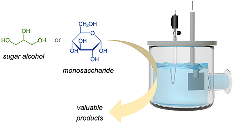 graphic file with name cr4c00261_0027.jpg