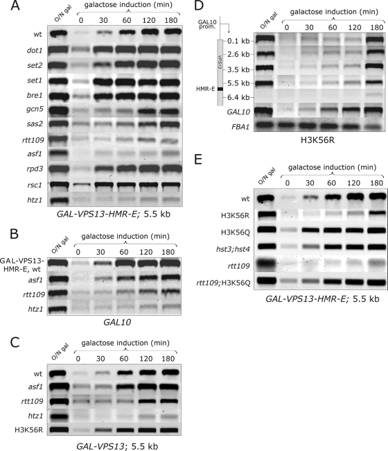 FIG. 6.