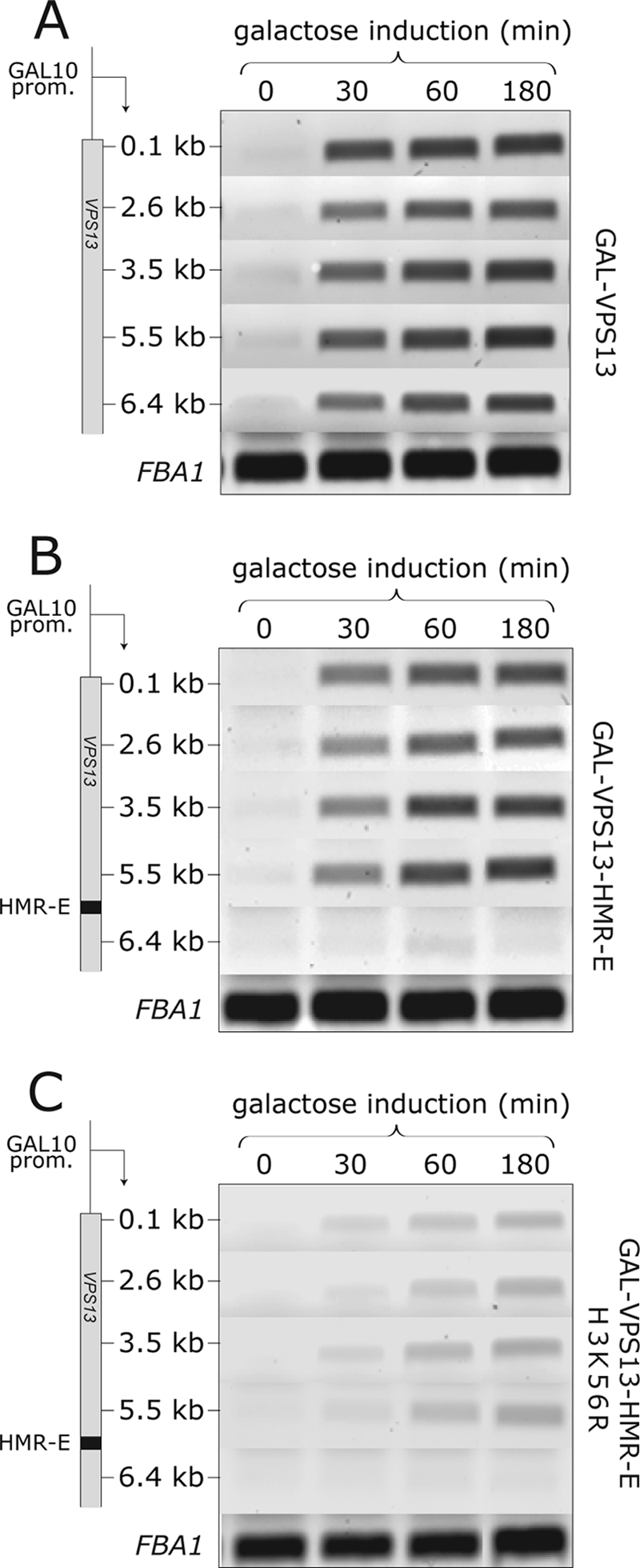 FIG. 7.