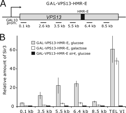 FIG. 1.