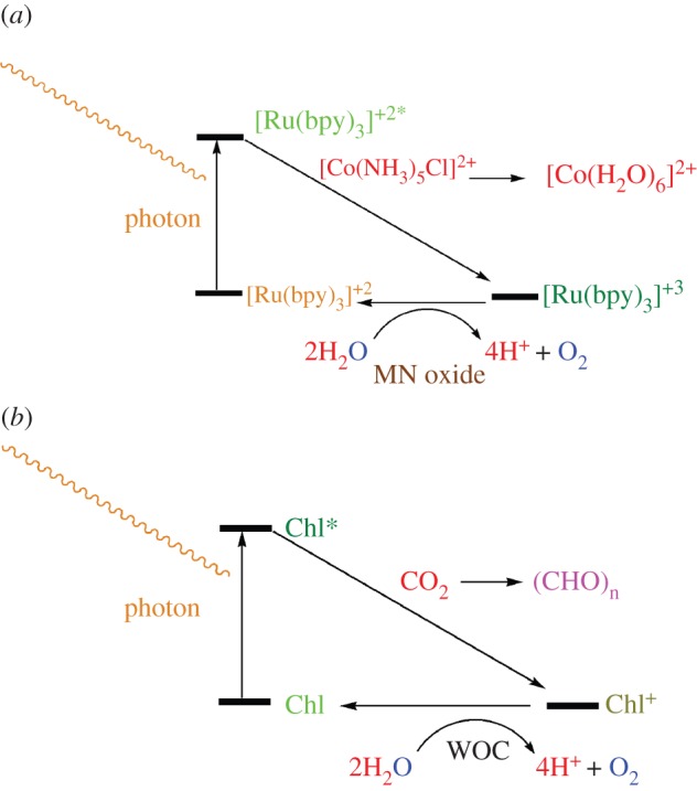 Scheme 2.