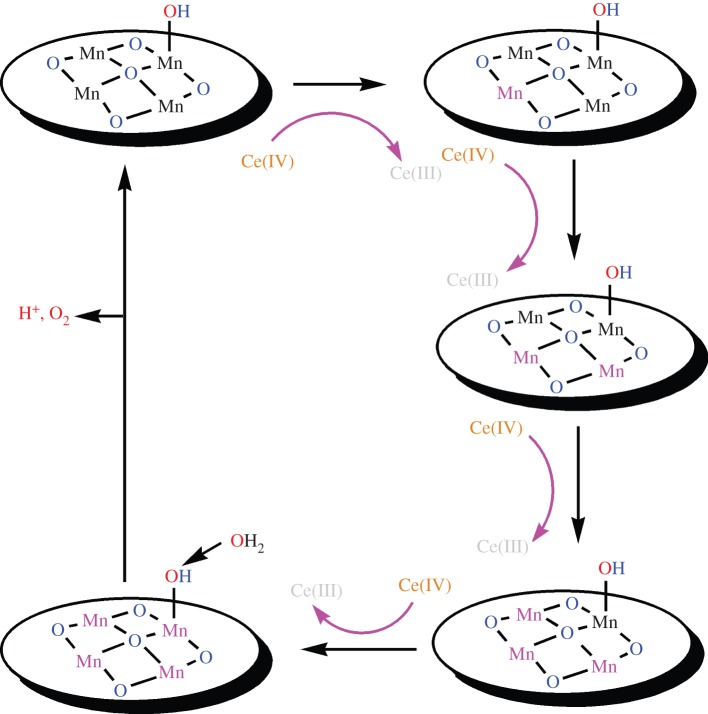 Scheme 3.