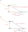 Scheme 2.