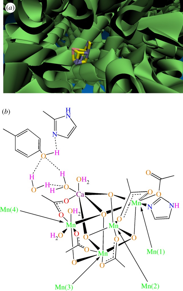 Figure 1.