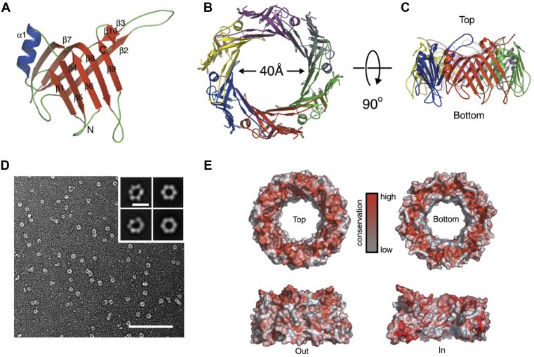 Figure 3