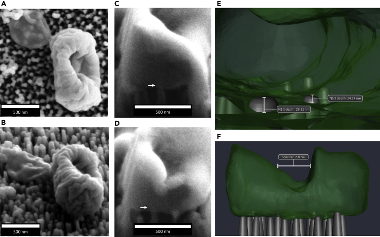 Figure 7