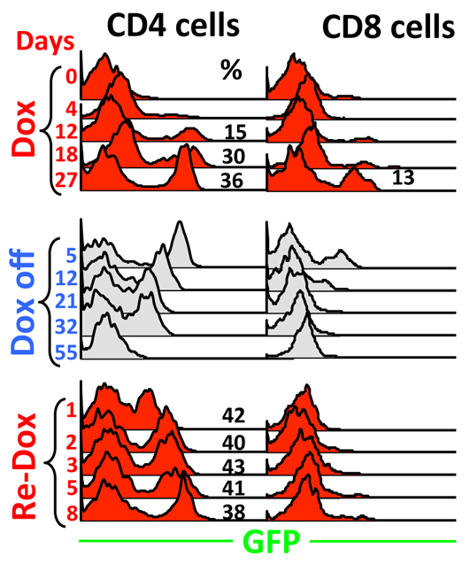 Fig. 9.