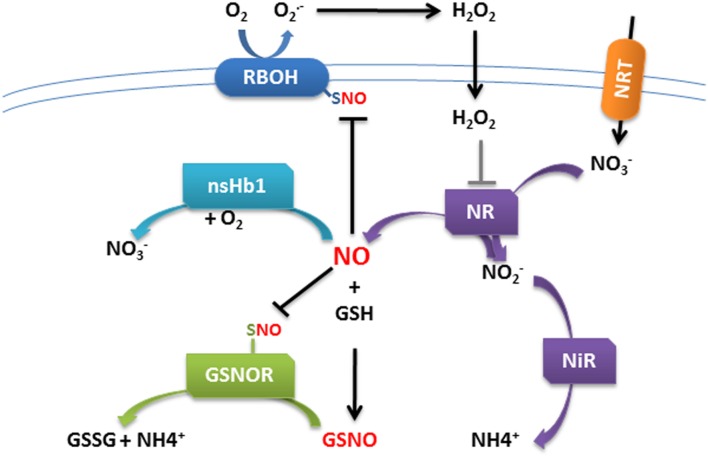 FIGURE 2