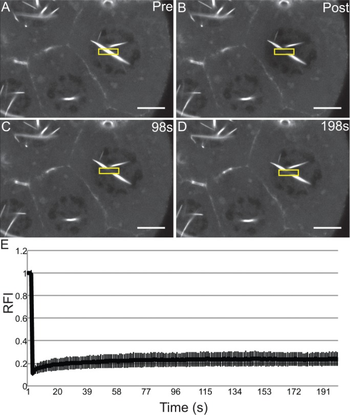 FIGURE 5: