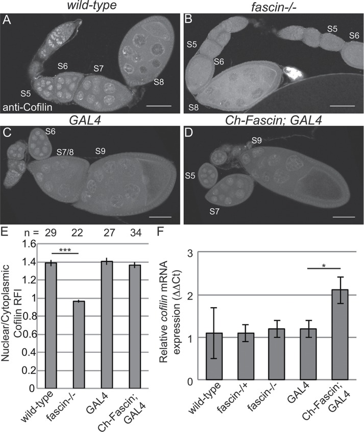 FIGURE 9: