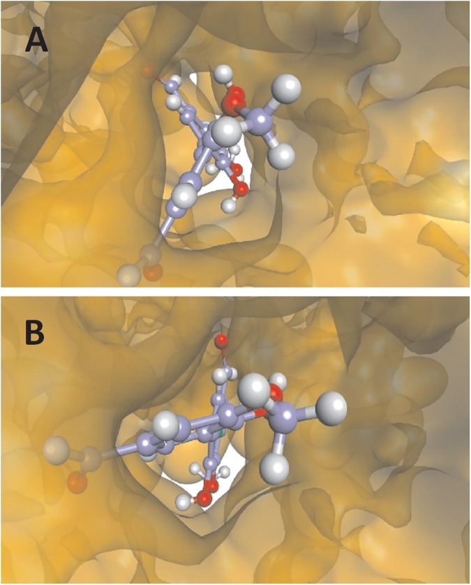 Fig 9