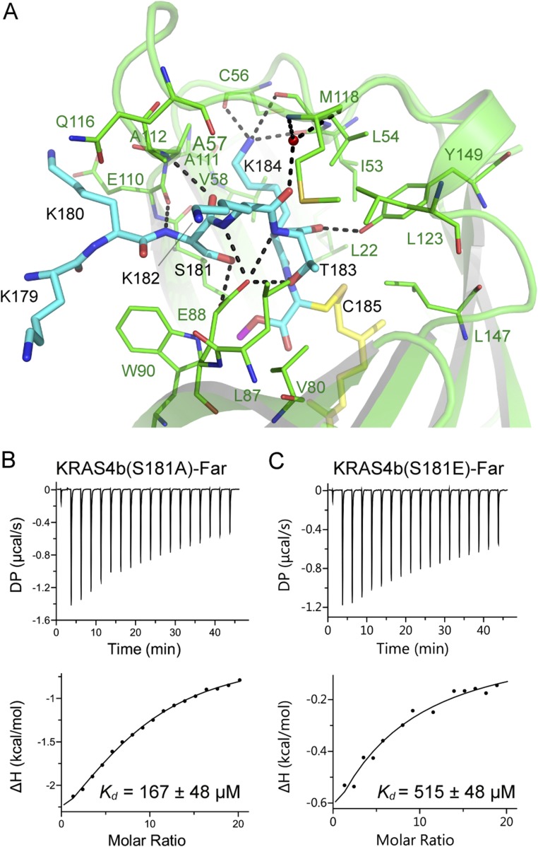 Fig. S3.