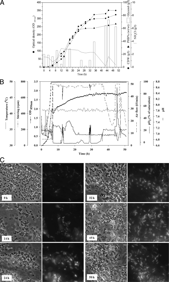 FIG. 3.