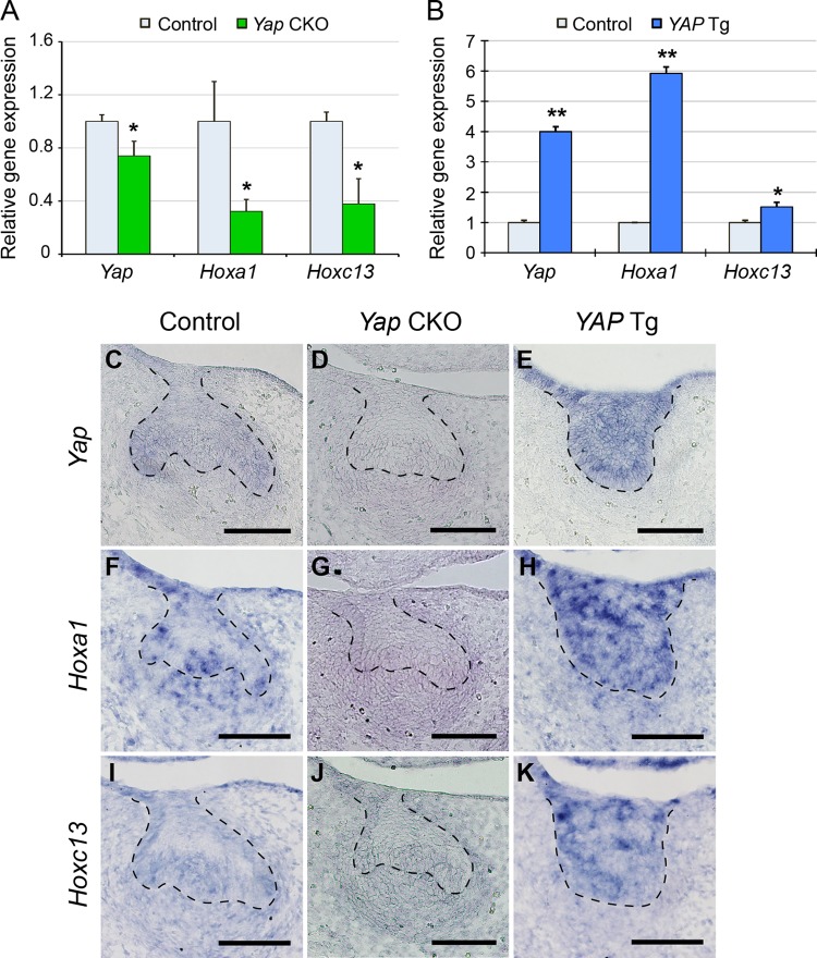 FIG 3